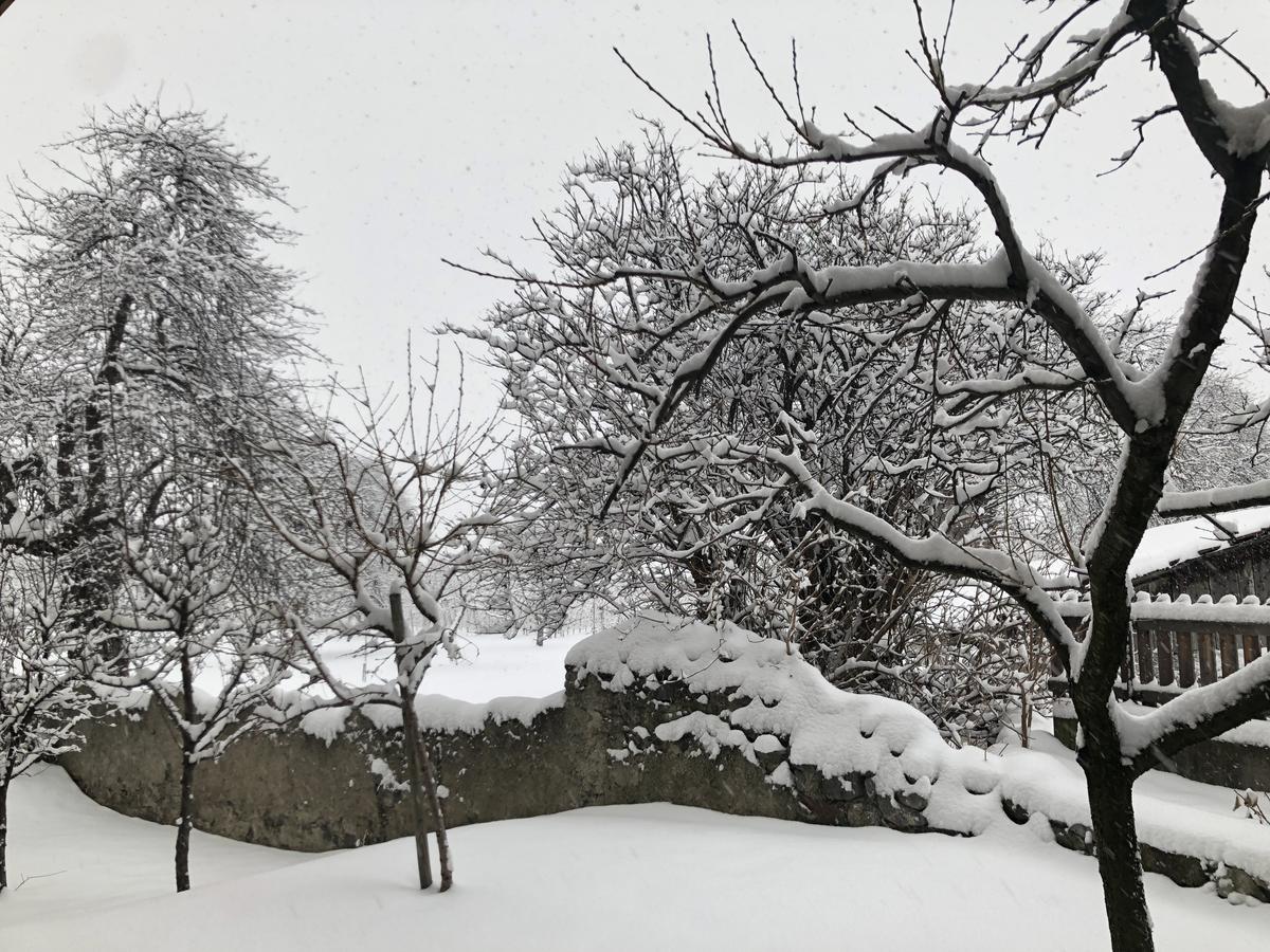 Garni Glurnserhof Exteriör bild